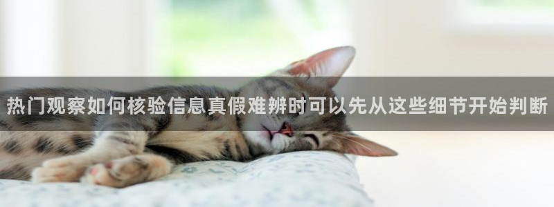 51吃瓜爆料网站