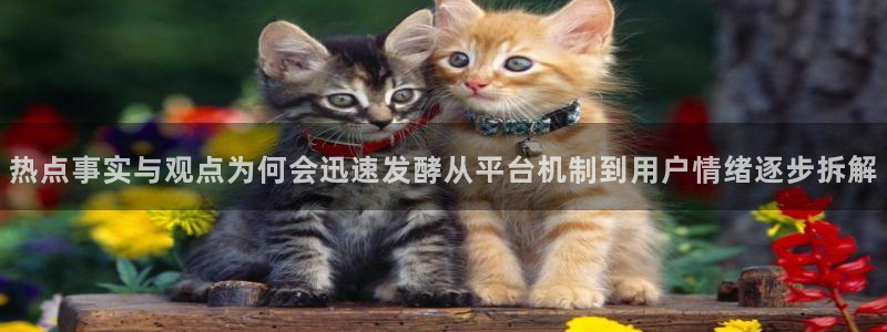 热点资讯大全