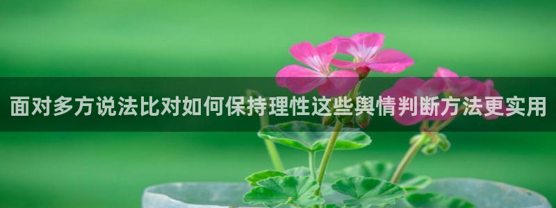 热点资讯大全
