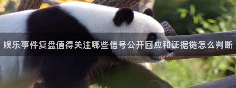 51吃瓜网站:娱乐事件复盘值得关注哪些信号公开回应和证据链怎么判断
