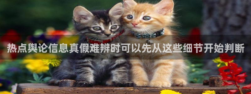 吃瓜爆料资讯:热点舆论信息真假难辨时可以先从这些细节开始判断