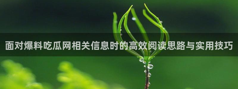 51吃瓜资讯搜索：面对爆料吃瓜网相关信息时的高效阅读思路与实用技巧