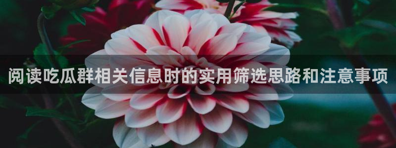 51吃瓜网络热搜：阅读吃瓜群相关信息时的实用筛选思路和注意事项