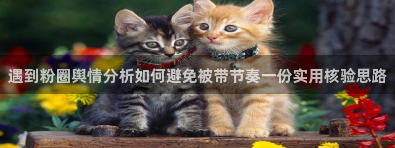 51吃瓜最新话题:遇到粉圈舆情分析如何避免被带节奏一份实用核验思路