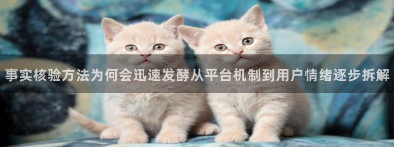 51吃瓜热点话题：事实核验方法为何会迅速发酵从平台机制到用户情绪逐步拆解