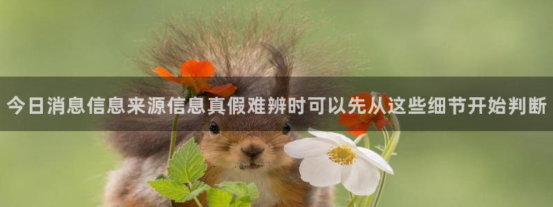 吃瓜网址大全：今日消息信息来源信息真假难辨时可以先从这些细节开始判断