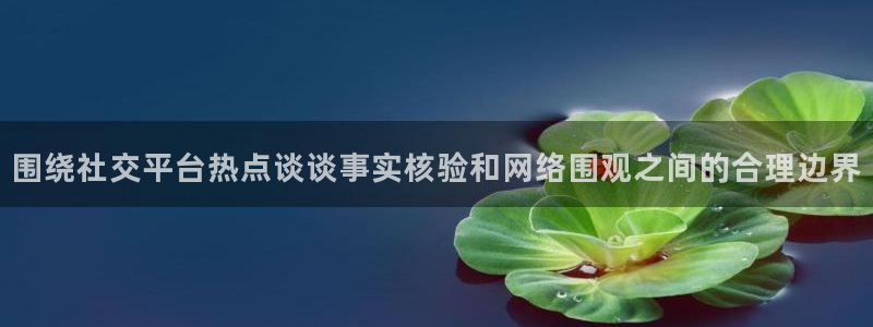 吃瓜网站导航：围绕社交平台热点谈谈事实核验和网络围观之间的合理边界