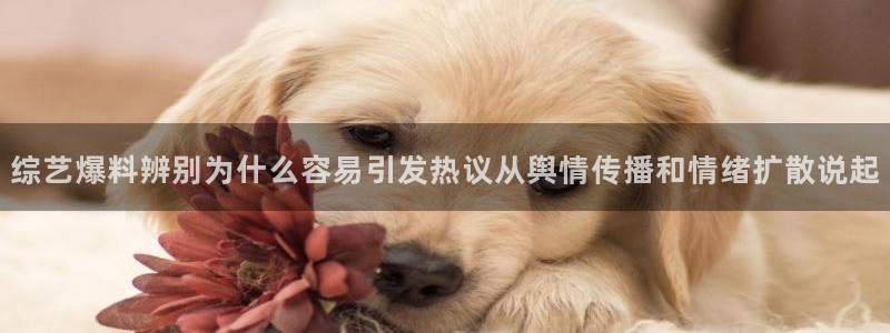 51吃瓜网络事件：综艺爆料辨别为什么容易引发热议从舆情传播和情绪扩散说起